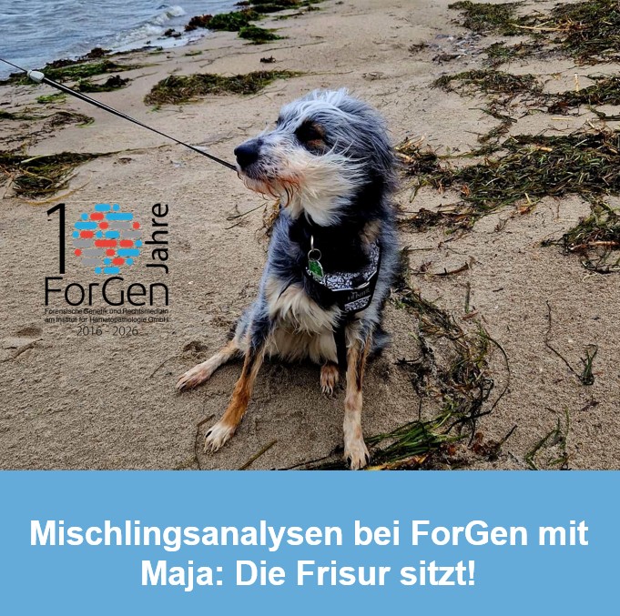 ForGen und Maja!