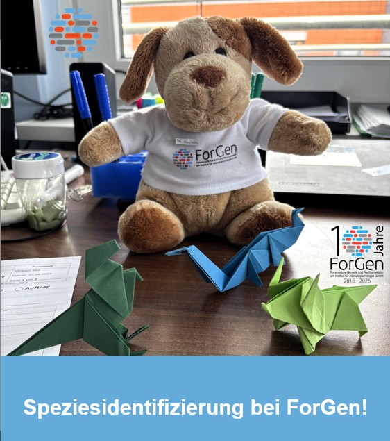 Speziesidentifizierung oder seltsamer Tierbefall bei ForGen?