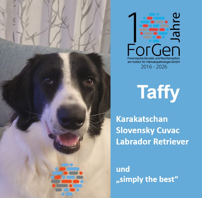ForGen und Taffy: Was ein Hund (oder so….)