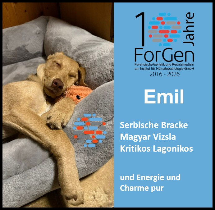 Hund Emil