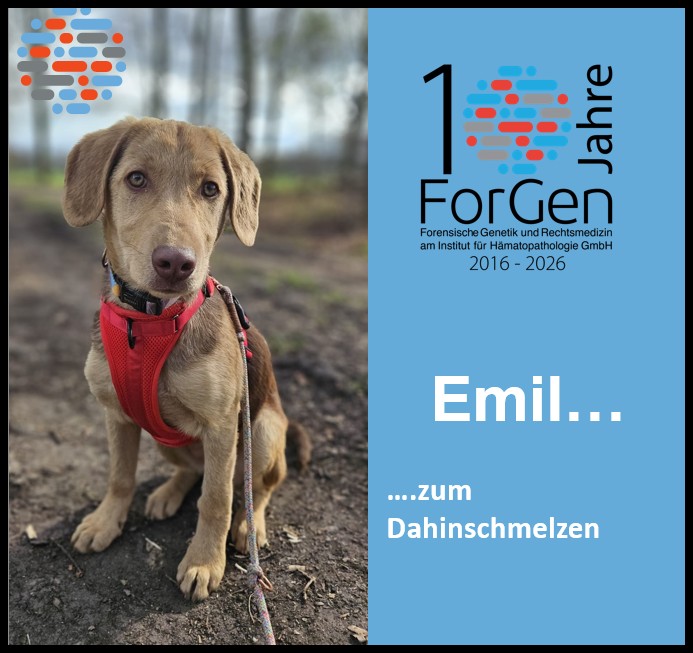 Hund Emil