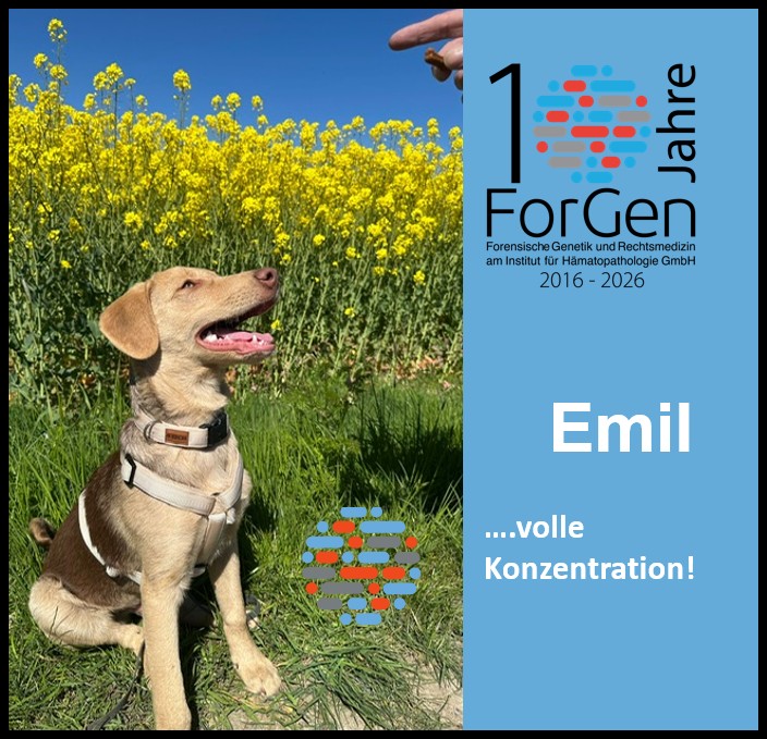 Hund Emil