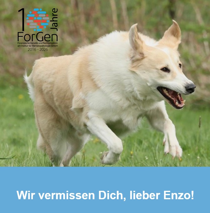 Vielen Dank, dass wir dich erleben durften, lieber Enzo!