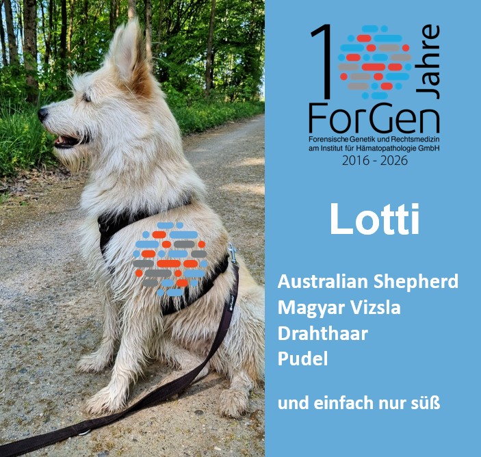 HUnd Lotti