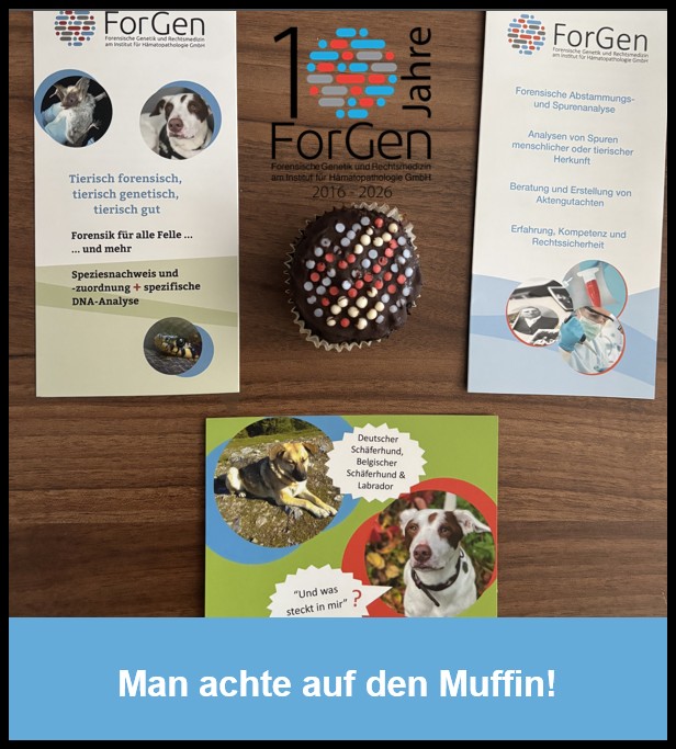 Wissenschaftliche Ausbildung bei ForGen: Kreativ sind unsere Studierenden auch!