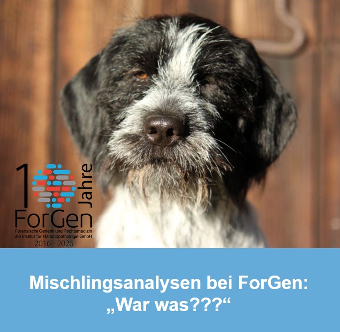 ForGen trifft Stracciatella!