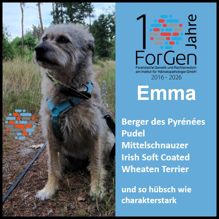 Hund Emma