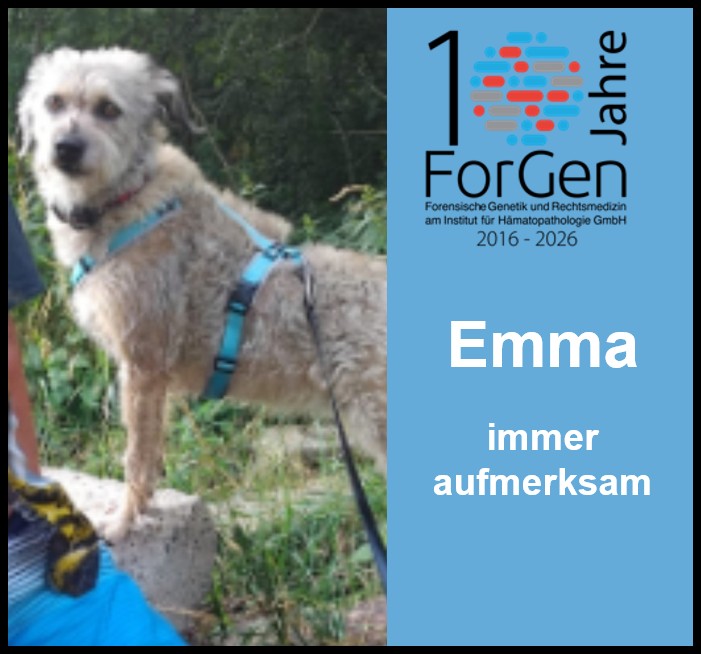 Hund Emma