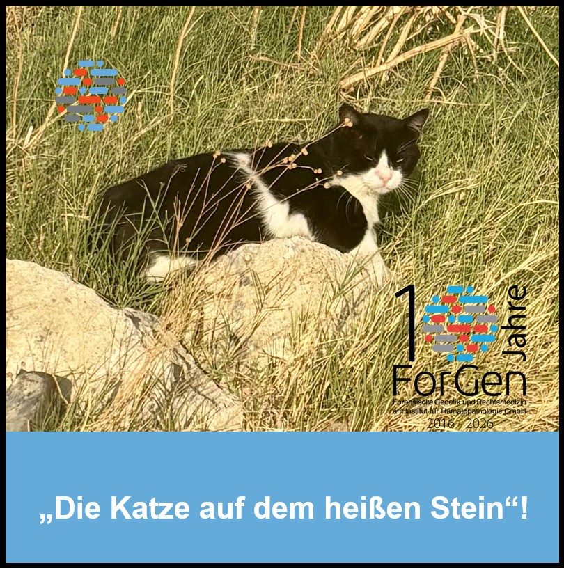 ForGen ist weiterhin der Wissenschaft verpflichtet.KatzeForGen ist weiterhin der Wissenschaft verpflichtet.