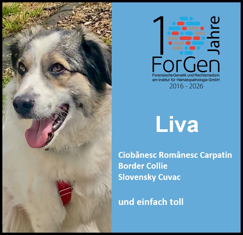 Hund Liva