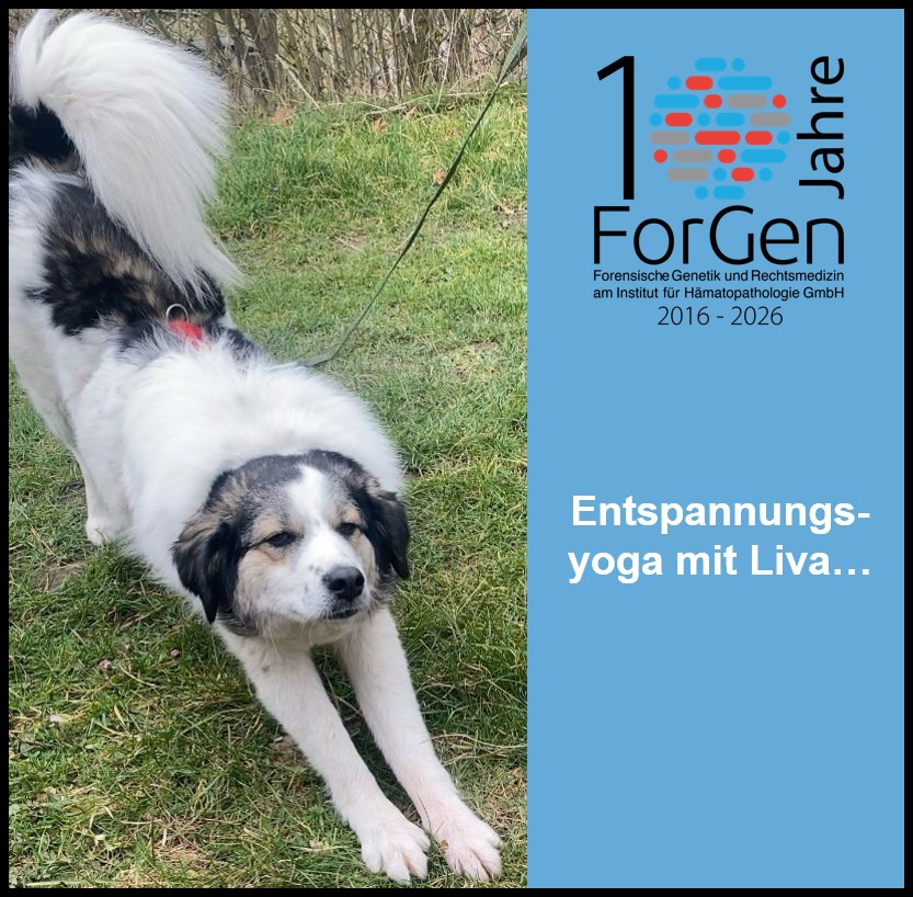 Hund Liva