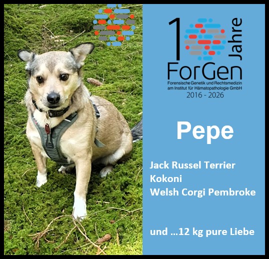 Mischlingsanalysen bei ForGen: Hallo, Pepe!