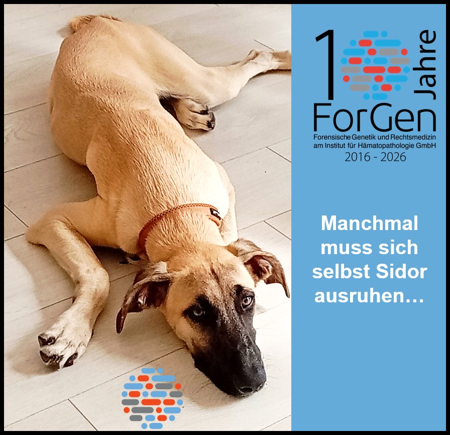 Hund Sidor