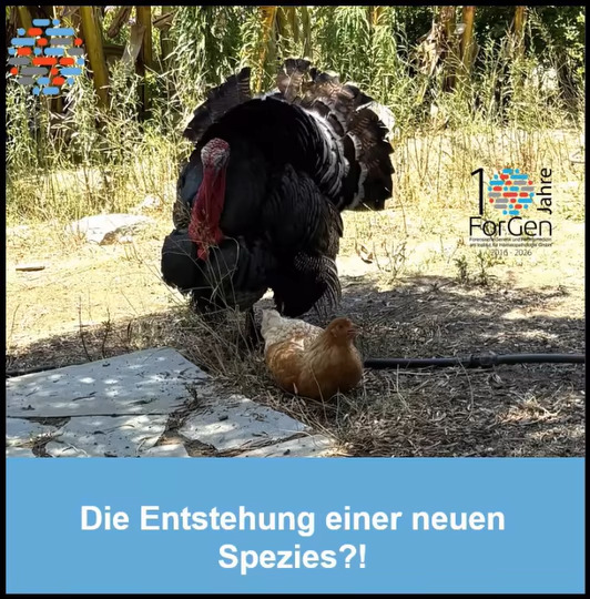 ForGen ist immer im Einsatz! Heute: Natürliche Evolution oder Hybridisierung?
