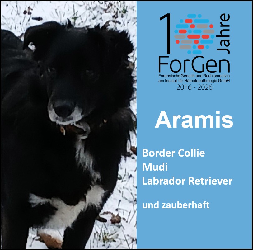 HUnd Aramis