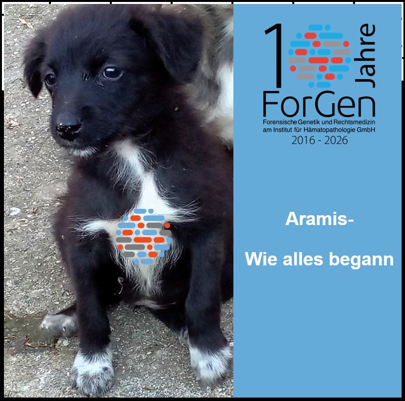 HUnd Aramis