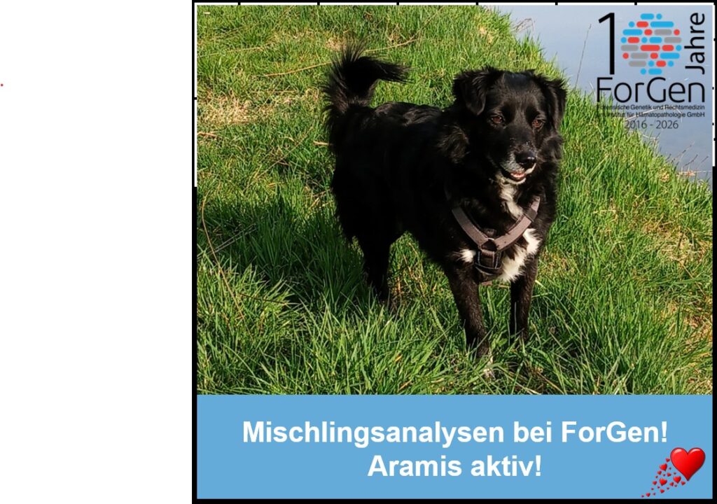 HUnd Aramis