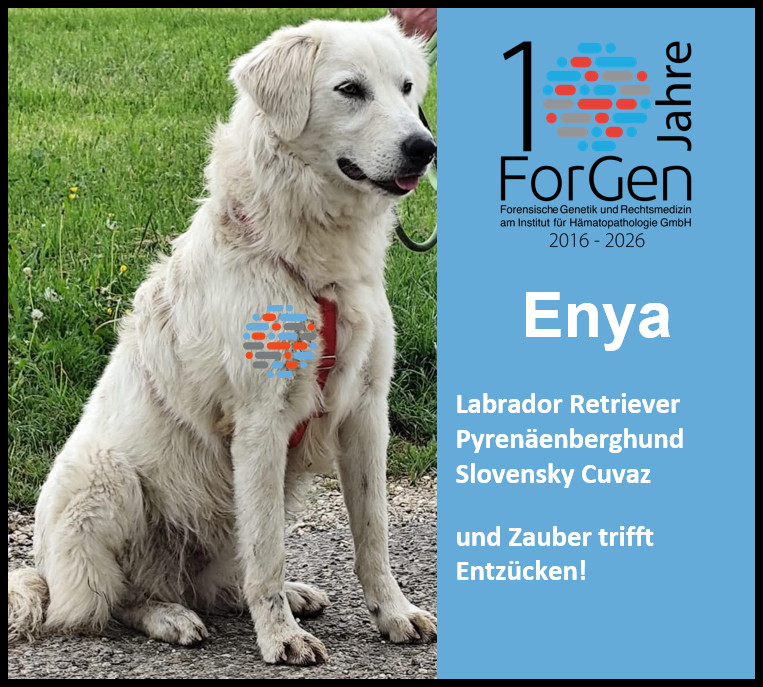HUnd Enya