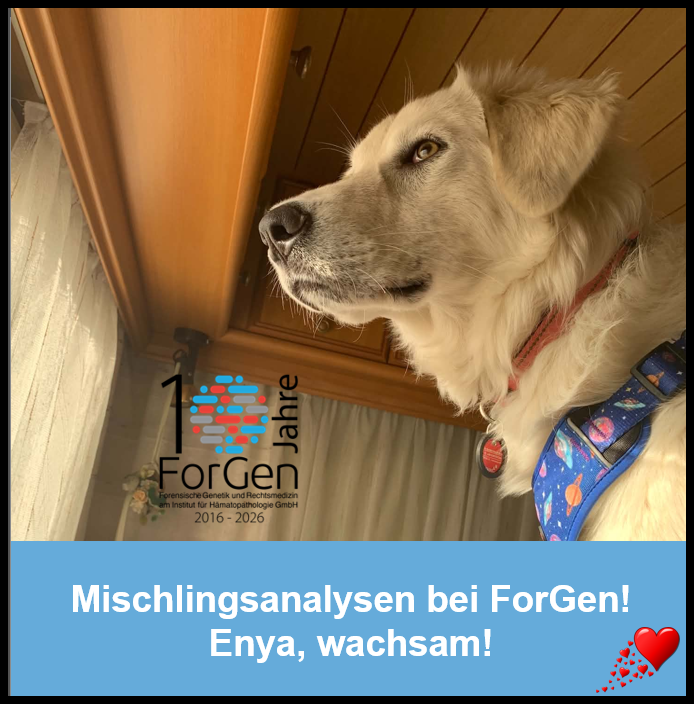 HUnd Enya