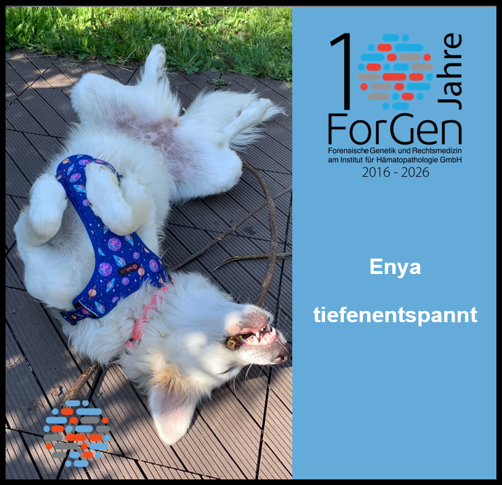 HUnd Enya