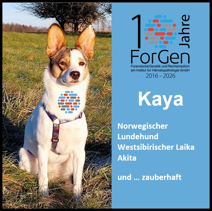 Hund Kaya