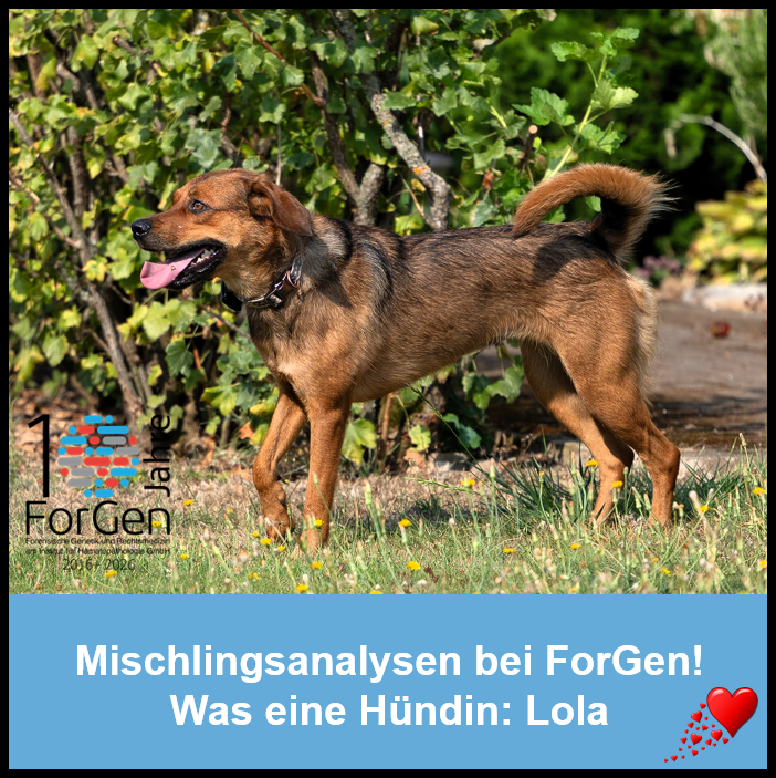 HUnd Lola