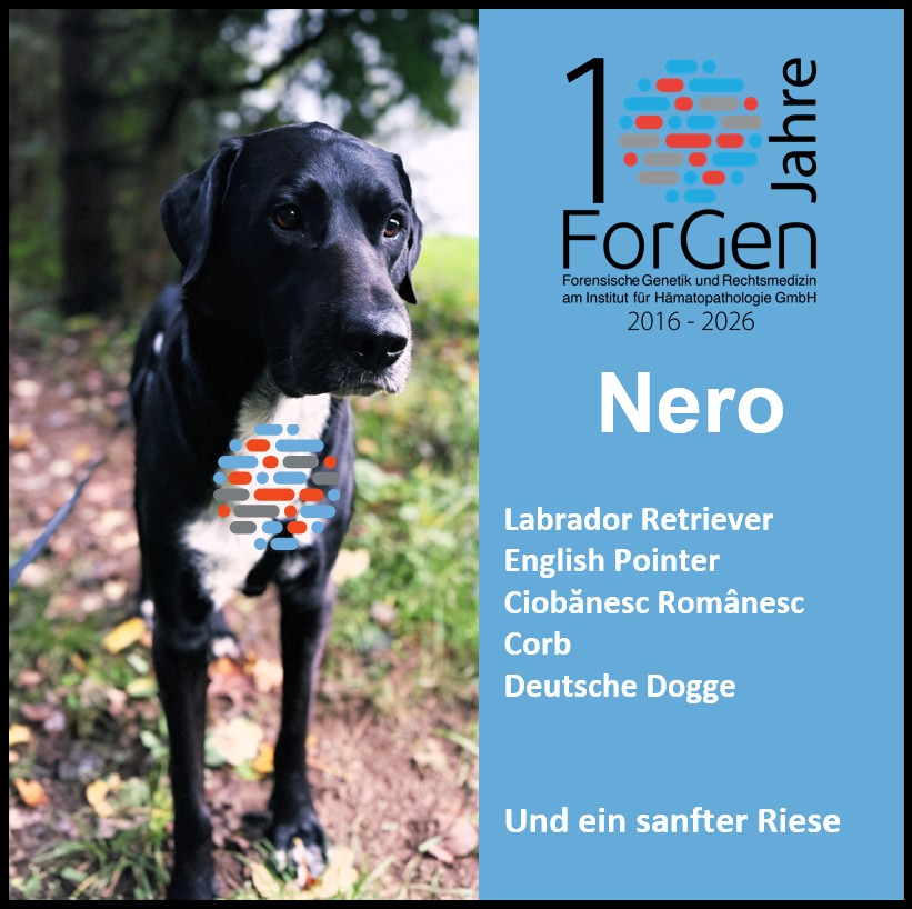 HUnd Nero
