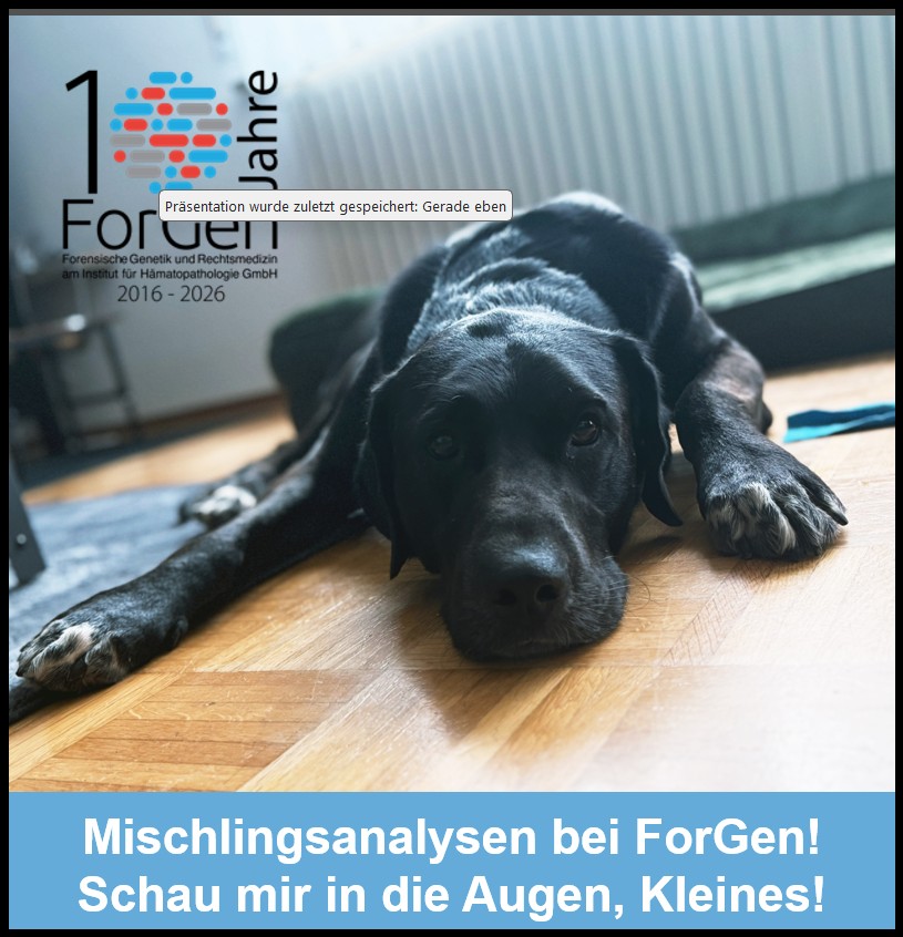 HUnd Nero