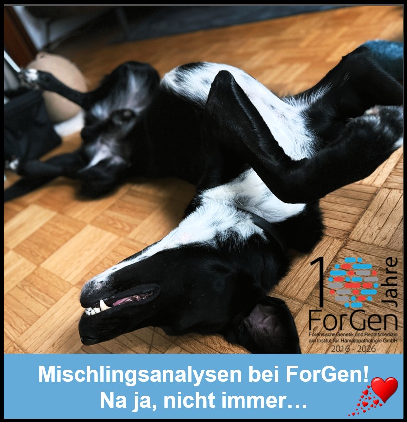 HUnd Nero