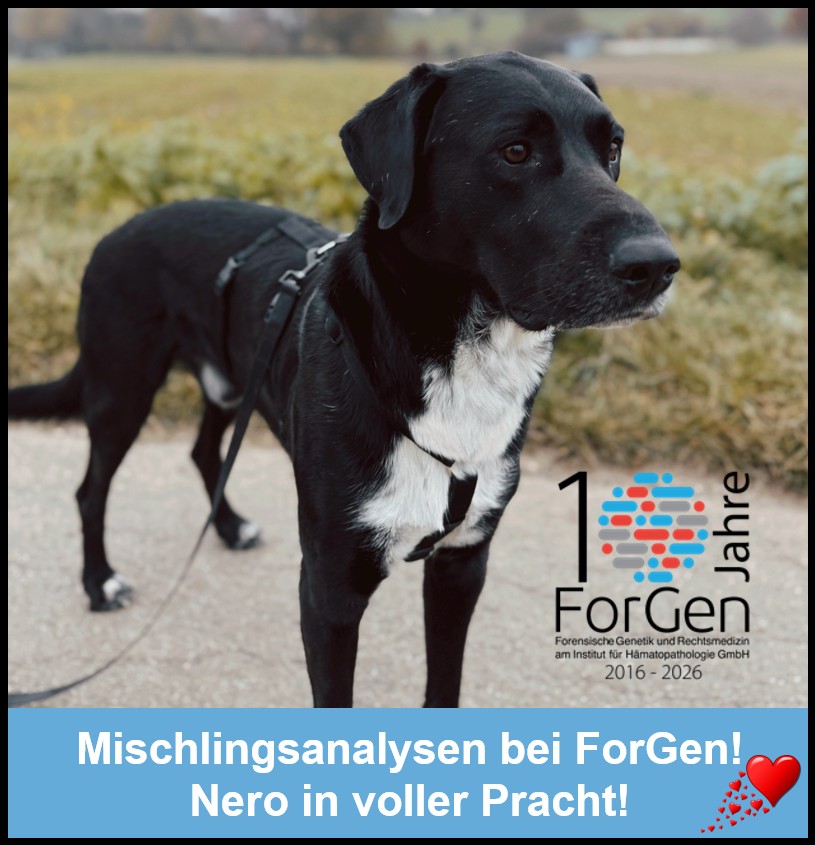 HUnd Nero