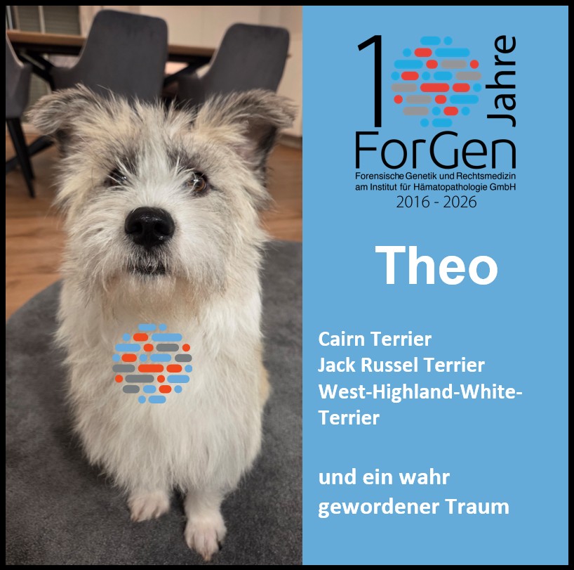 Hund Theo