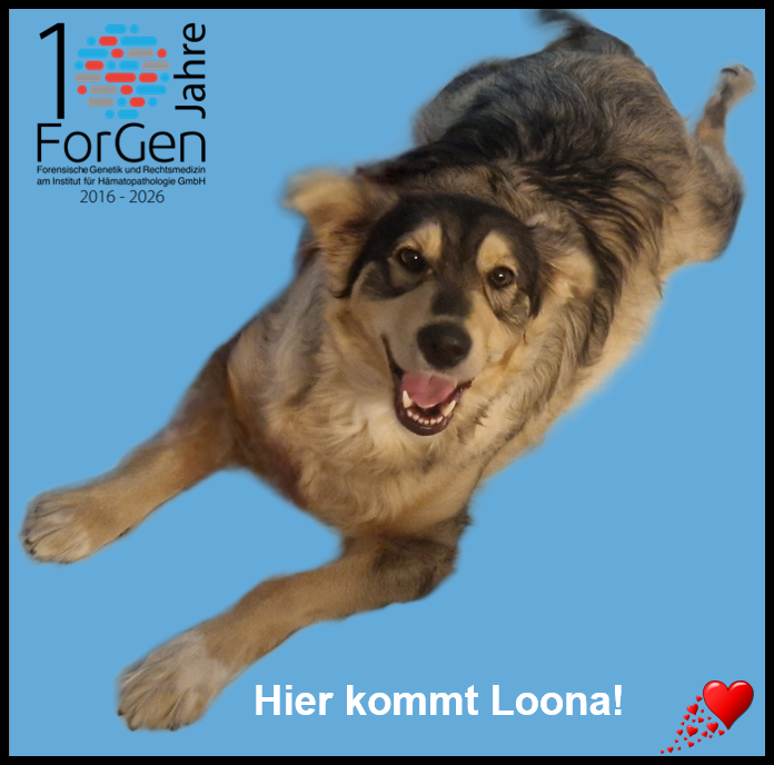 Hund Loona