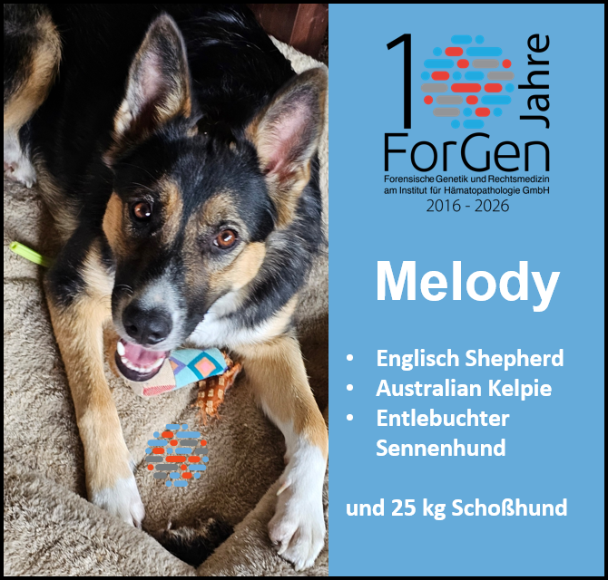 Hund Melody
