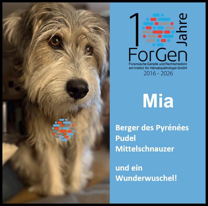 HUnd Mia