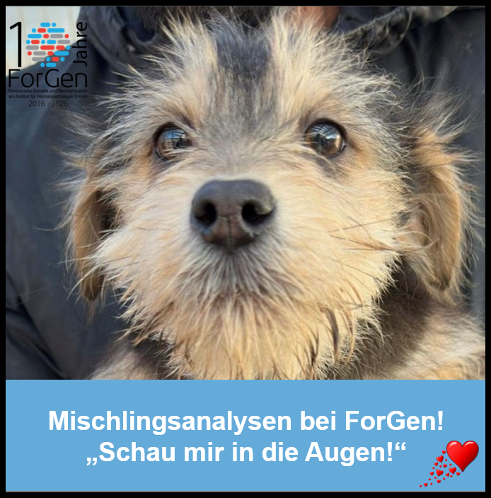 HUnd Mia