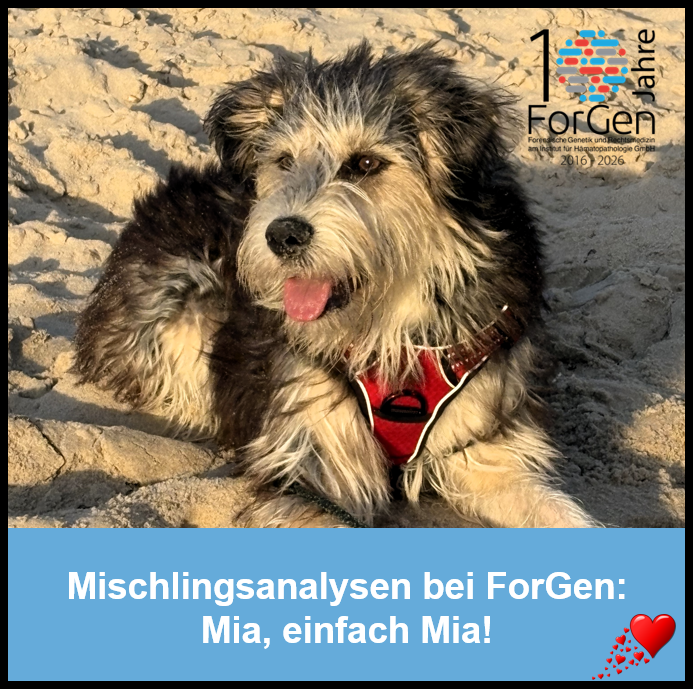 HUnd Mia