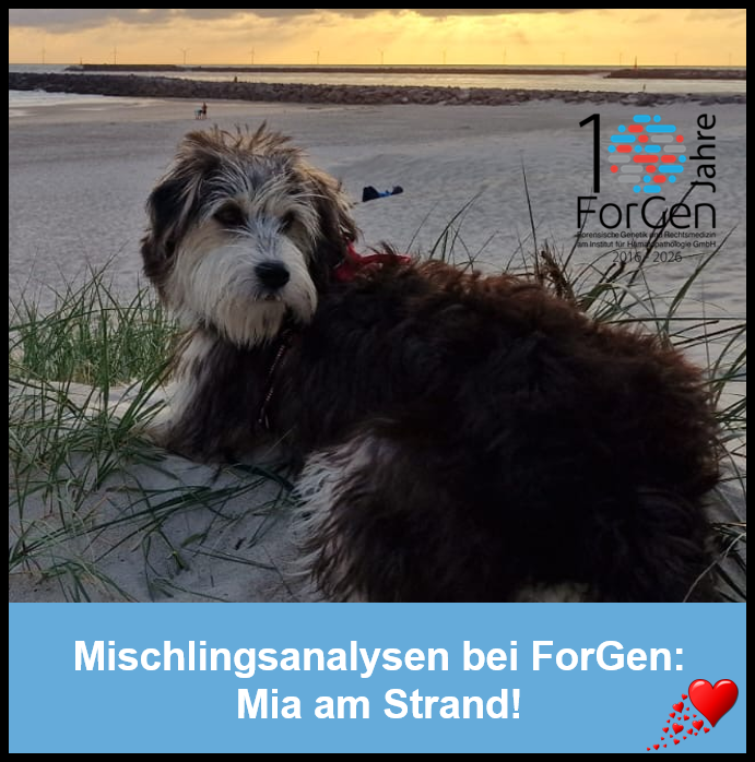 HUnd Mia