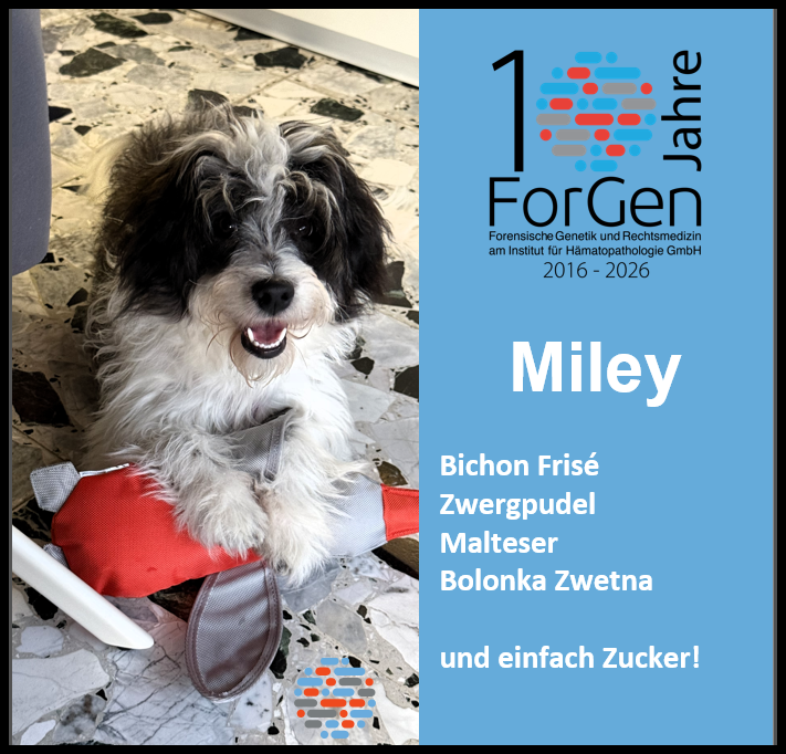 Hund MIley