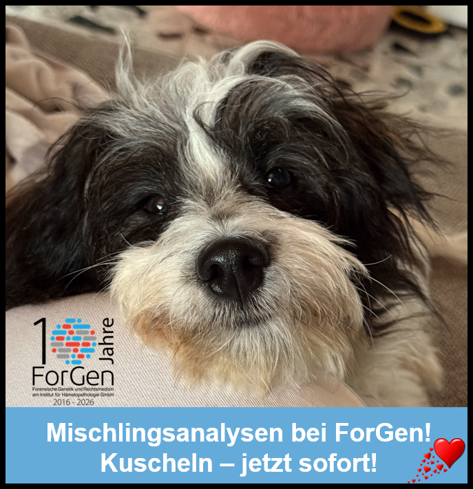Hund MIley