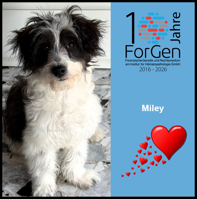 Hund MIley