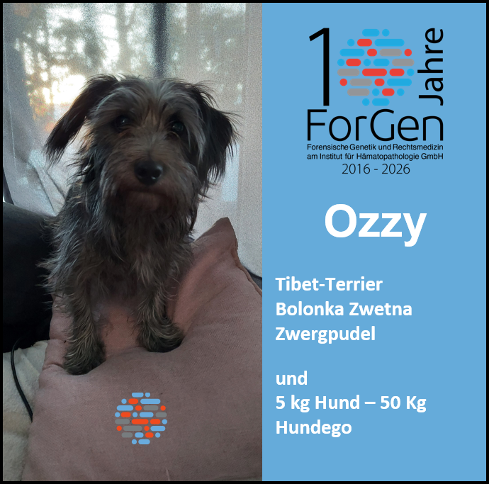 HUnd Ozzy