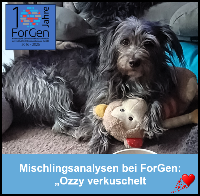 HUnd Ozzy
