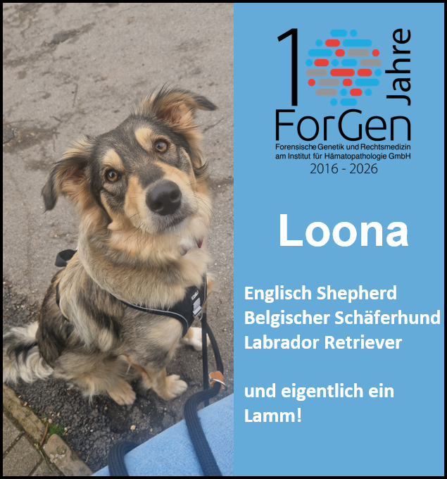 Hund Loona