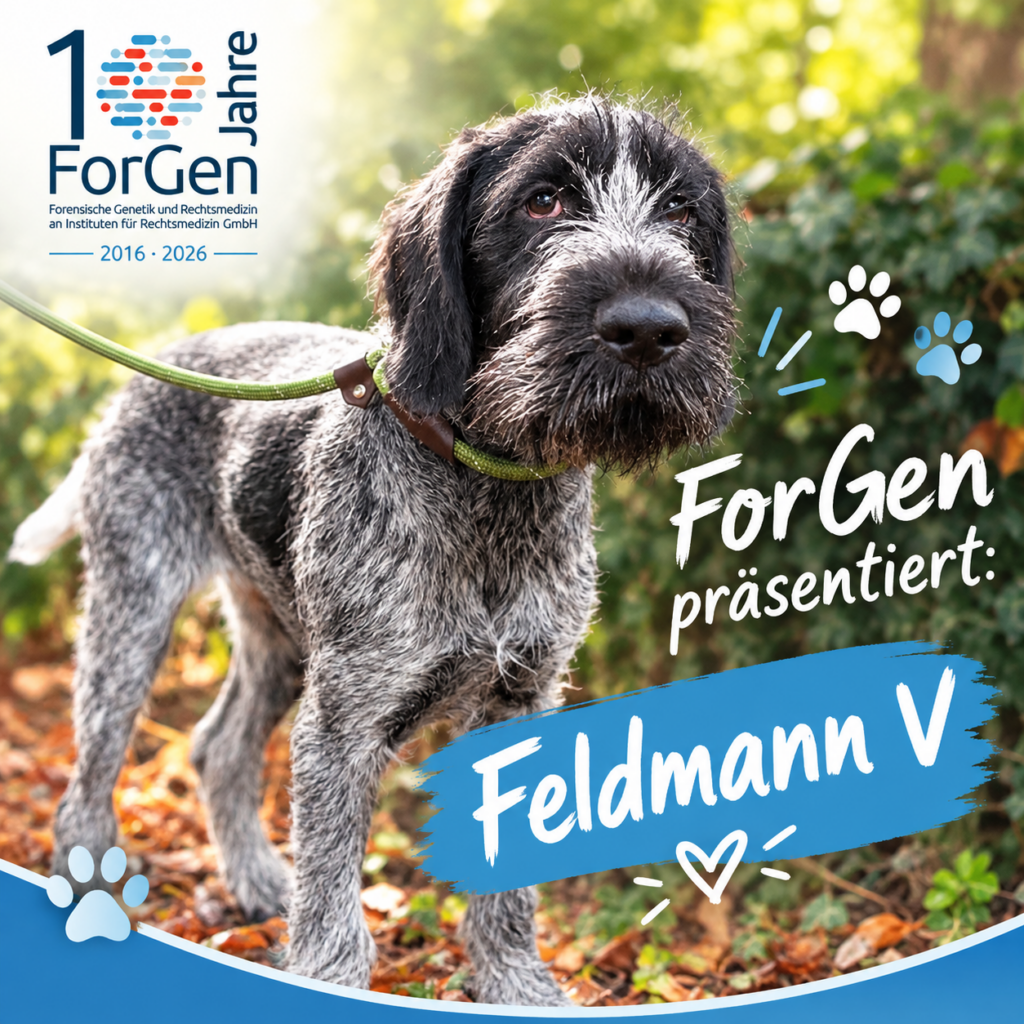 Hund Feldmann
