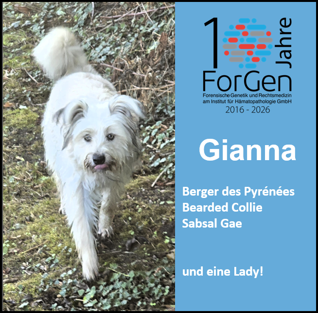 Hund Gianna