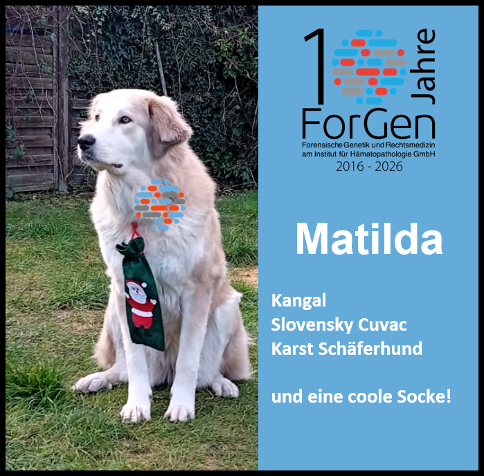Hund Matilda