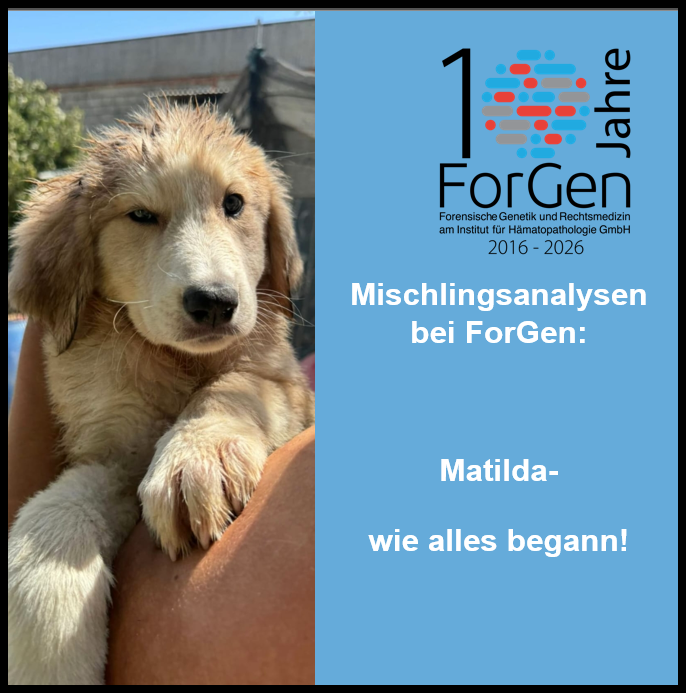 Hund Matilda