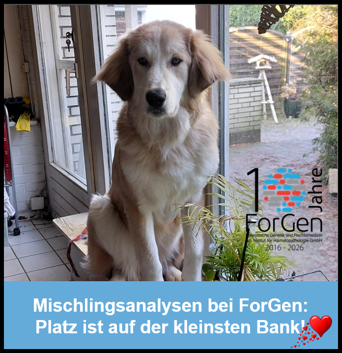 Hund Matilda