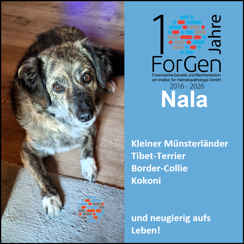 Hund Nala