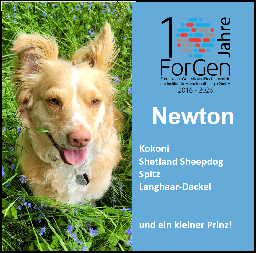 Hund Newton